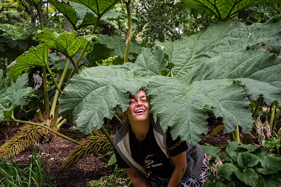 Royal Botanical Gardens, Edinburgh